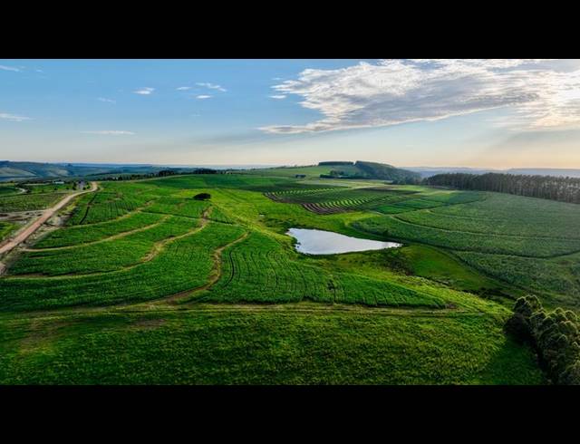 LAND FOR SALE IN MOUNT VERDE